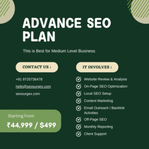 Advance SEO Plan, Best SEO Packages