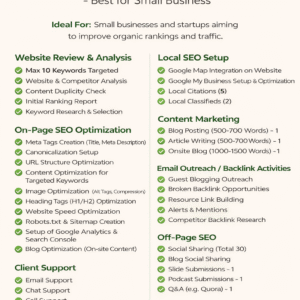 SEO-SURGEX basic plan for small businesses
