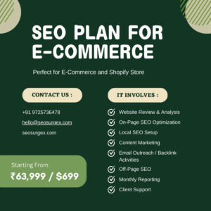 E-Commerce SEO Plan, E-Commerce SEO Packages Plan