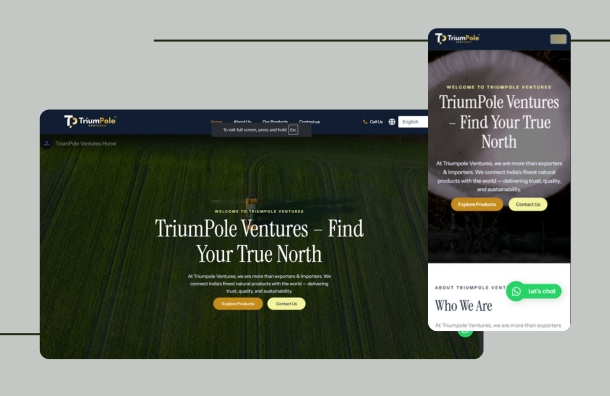 SEO Expert in India SEO Expert rajkot Best SEO Agency Best Web Design Company